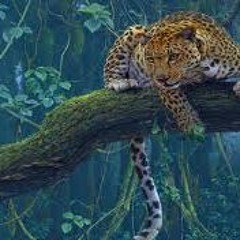 FREDY VELASQUEZ   EN EL PRINCIPIO EL ESPIRITU DE DIOS