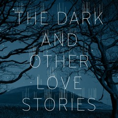 Steve and Lauren: Three Love Stories