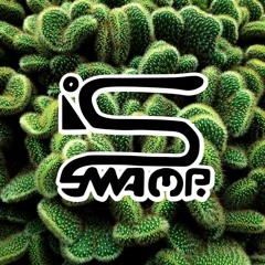 Shwamp - Shwampignon