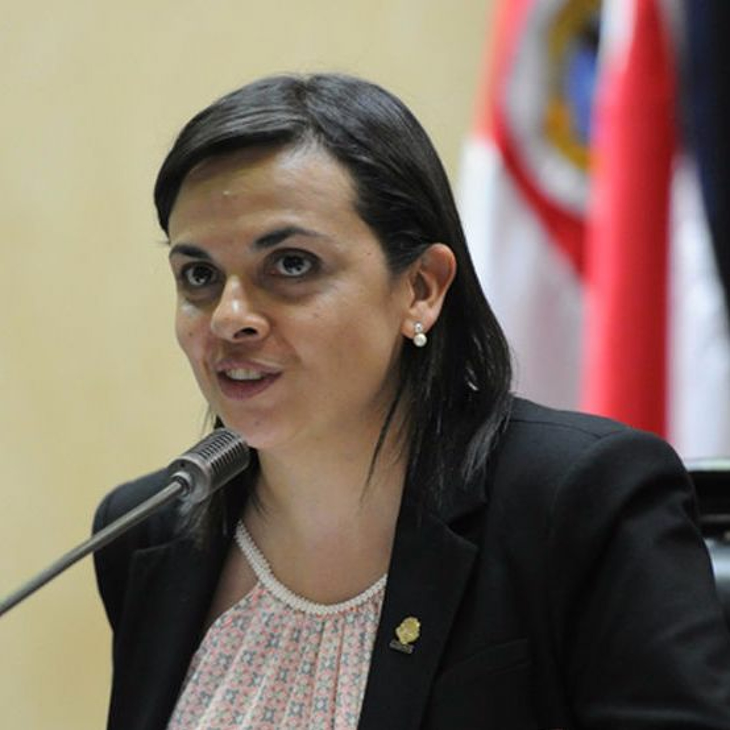 Diputada Marcela Guerrero pidió a Desanti separarse de la presidencia del Congreso durante campaña episode artwork