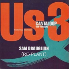 Cantaloop (Re-Plant)