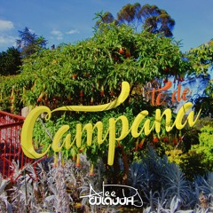 TE DE CAMPANA - REMIX (DJ LAUUH FT ALEE DJ)