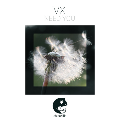 VX - Need You