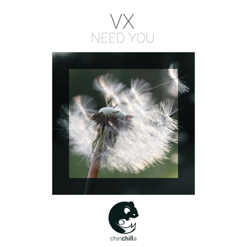 VX - Need You