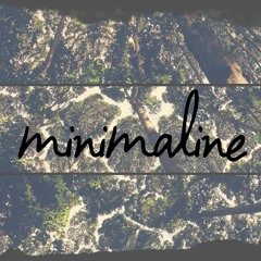 Minimaline - Forest Before The Rain