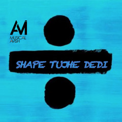 Shape Tujhe Dedi (Concept)