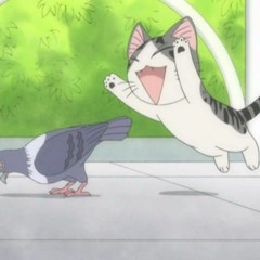 Ah it's a wonderful cat life