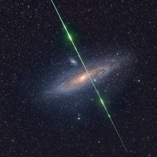 Cosmos