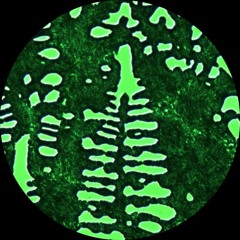 OM015 - Casino Times - Decoded EP