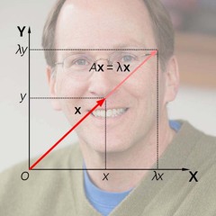 Steven Strogatz on Teaching Eigenvectors and Eigenvalues