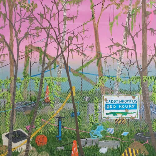Caddywhompus - Waiting Room