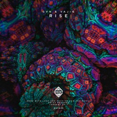 GVN & Vajiq - Rise (Available January 16)