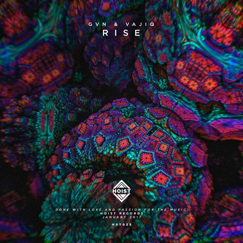 GVN & Vajiq - Rise (Available January 16)
