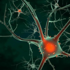 Sonic 2017 Promo Mix