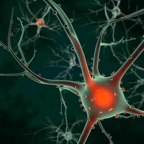 Sonic 2017 Promo Mix