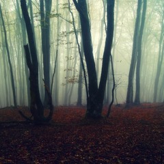 Farewell Transmission