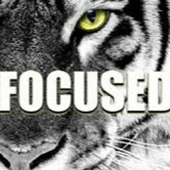 Stay Focused Freestyle