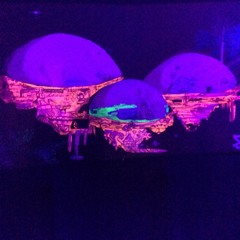 RICKY GRAMZ- TAKIN TRIPPZ