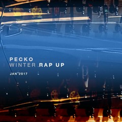 Winter Rap Up - Jan 2017