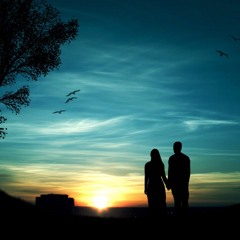 Silhouettes In The Sunset - R4V3D