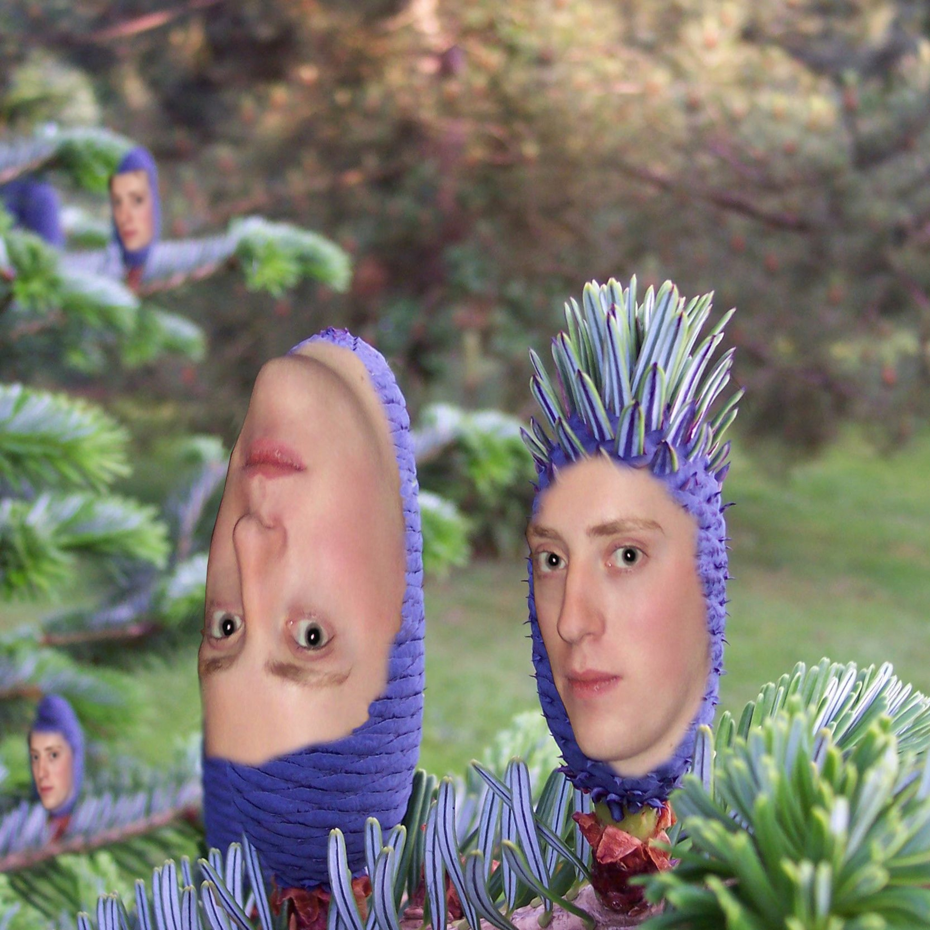 Holmesflute