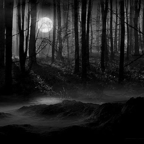 Into The Night ft *Chuck3baby*A*OK ©