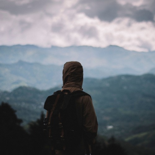Alone - Viren