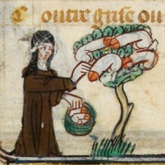 i'll never say never to always