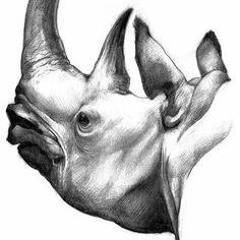 Rhino