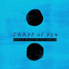 Ed Sheeran - Shape of you (ZIGGY & Billy The Kit Bootleg)