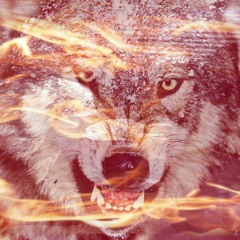 "ANIMAL" Jaylee X B.ROD