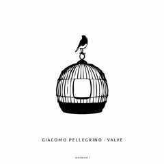 Giacomo Pellegrino - Valve [WHOWH031]