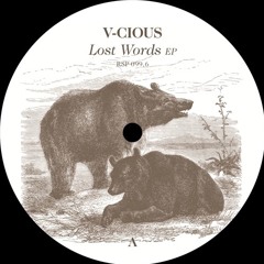 V - Cious - Lost Words (Original Mix) - VINYL - SNIPPETS