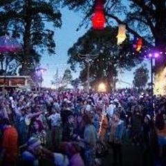 Mike Gurrieri Interstitial DJ Sets @ Meredith Music Festival 2016