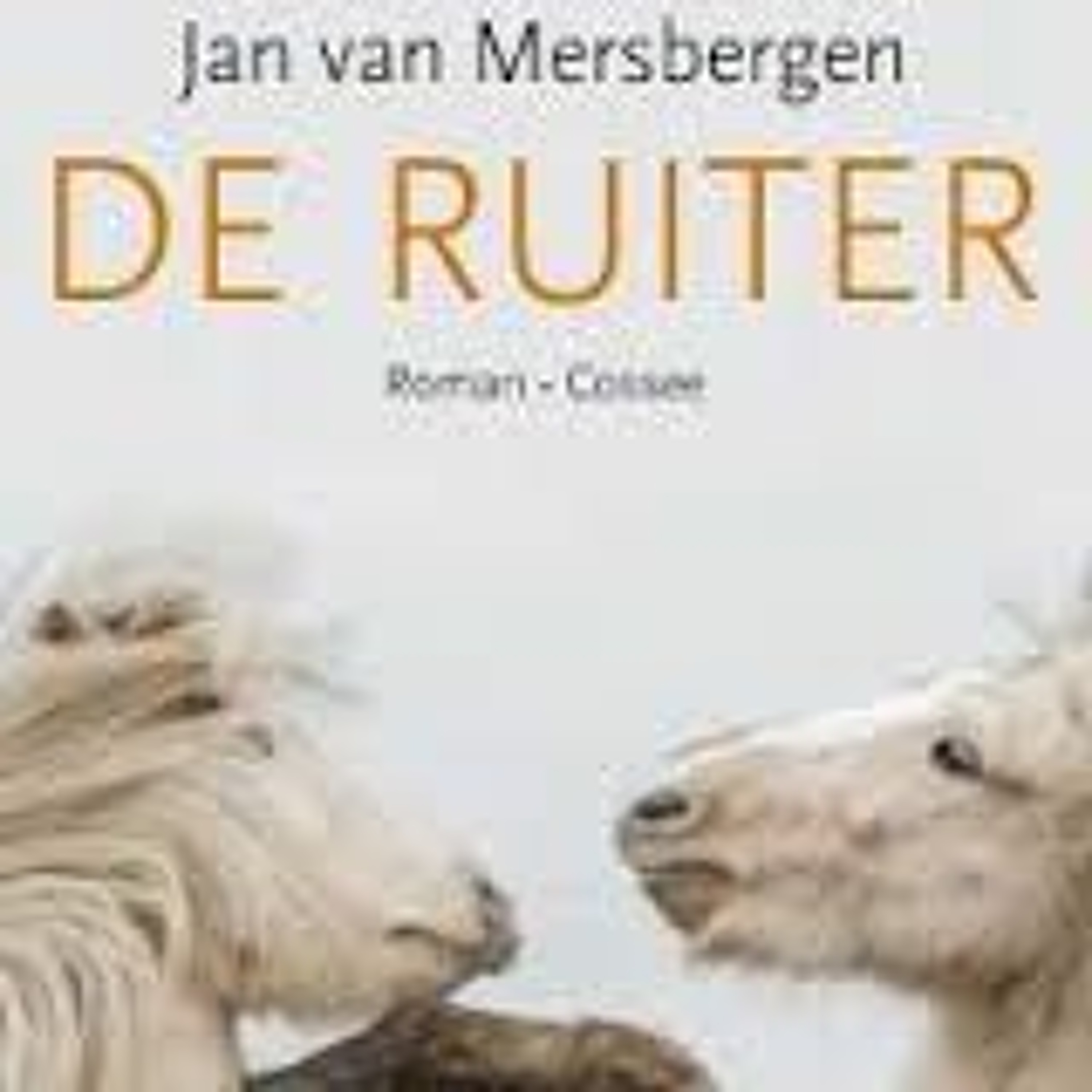 Boekenpodcast Het verhaal