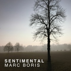 The Sum Of Your Decisions Piano Version