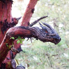 Love You With All My Art (love you with half my heart)