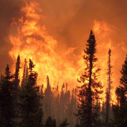 AU CHAUD, DEVANT MA CHEMINÉ