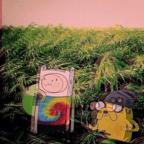 trippy
