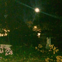 M10 Lethe - Camel Blues//Hills Alone (prod. Legendary)