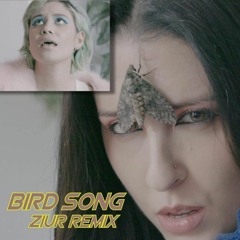 Download: Nire - BIRDSONG feat. Bunny Michael (Ziúr Remix)