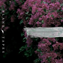 BLANK TAPES - FROM INDIAN LAKES (South Cove Cover)