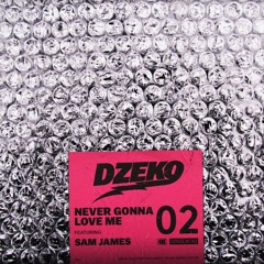 Dzeko - Never Gonna Love Me ft Sam James