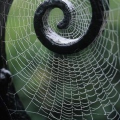 Grey Majick