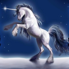 Guys Winter Unicorn Mix December 2016