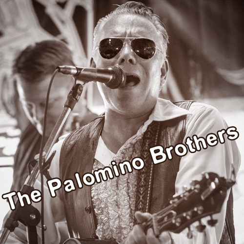 Long Haired Redneck By Palomino Brothers On Soundcloud Hear The