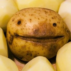 Destroyer - Beans Greens