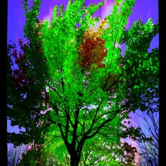 It's Just The Waiting That Remains