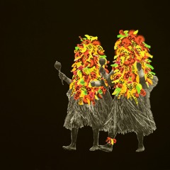 Brussels Pony Club - Dirt