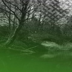 46 - O Ant Lauko Žvakelė Žibėjo